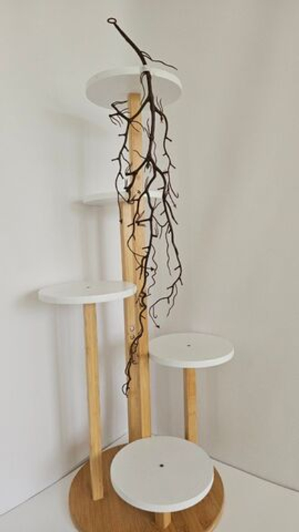 Корни / Арт 9043