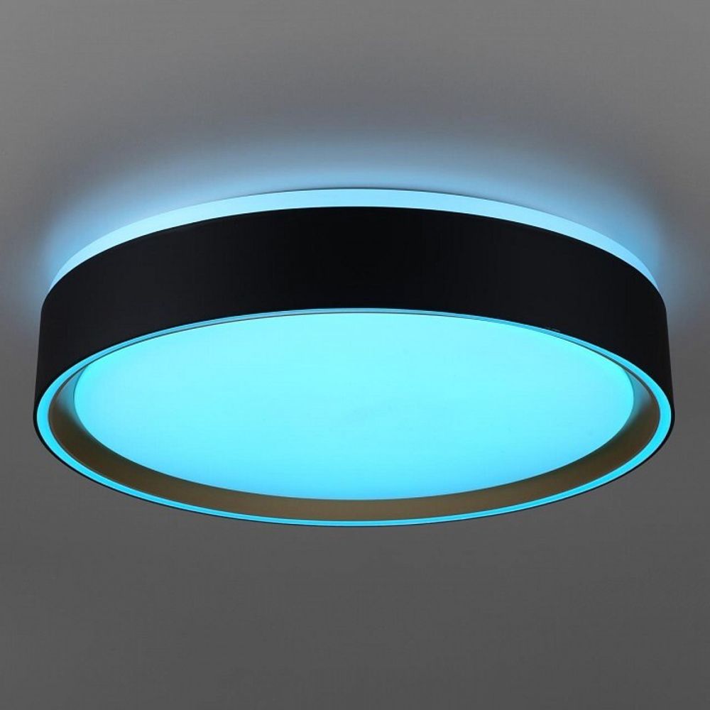 Накладной светильник Citilux BOSS CL751251G