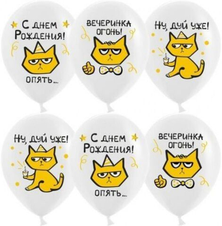 Шар (12""/30 см) С Днем Рождения! (рыжий котик), Белый, пастель, 1 ст, 25 шт.
