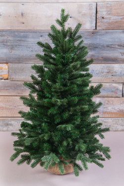 Ель Шервуд Премиум 90см в мешочке зеленая Triumph Tree