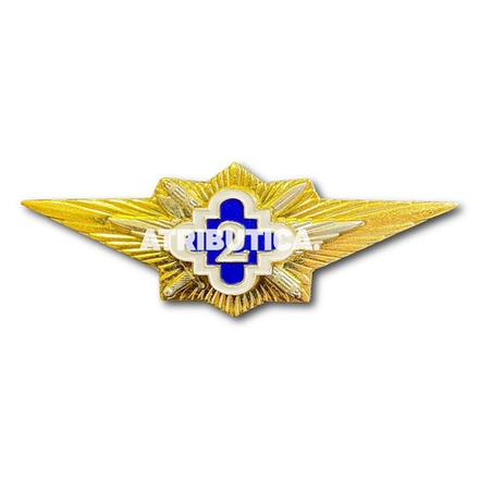 Знак Нагрудный Классность ФСИН 2 Класс