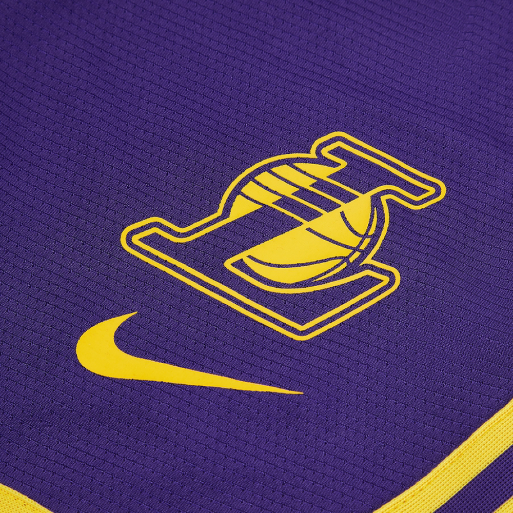 Шорты Nike Logo, DR2369-504