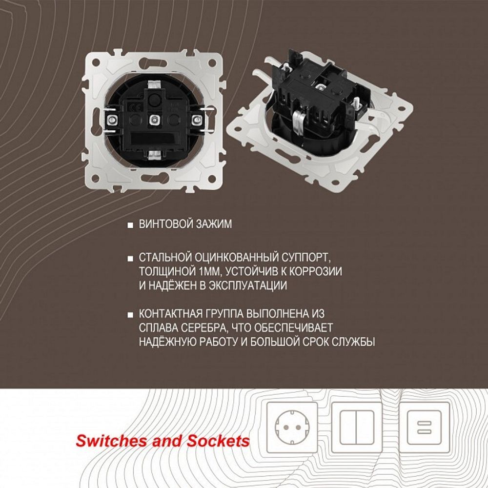 Розетка с заземлением и со шторкой, без рамки Arte Milano am-202 202.40-1.black