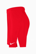 Шорты Nike Team Volleyball Spike