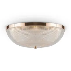 Потолочный светильник Maytoni C046CL-04G