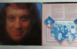 Винтажная виниловая пластинка LP Slade Sladest (UK 1973) Coz I Luv You