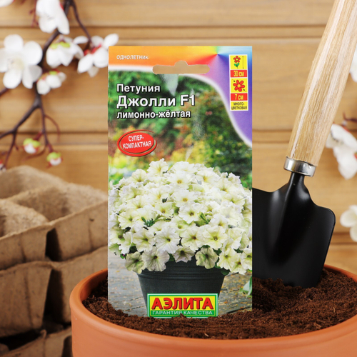 Петуния Джолли лимонно-желтая F1 многоцветковая, 7 шт