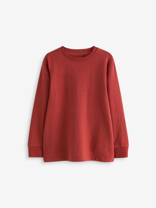 Лонгслив для мальчика Next 681-721, Кирпичный