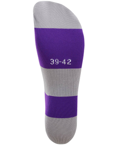 Гетры футбольные CAMP BASIC SOCKS, фиолетовый/серый/белый
