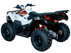 Квадрицикл KAYO AU300 EFI (белый пластик 2024 г.) (ПТС)