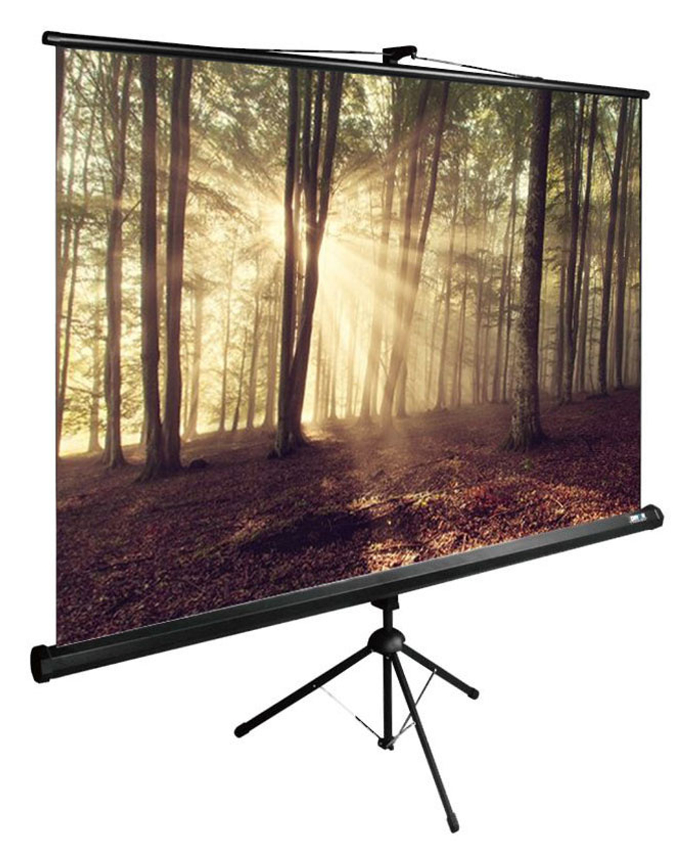 Экран  Cactus CS-PSTE-180X135-BK