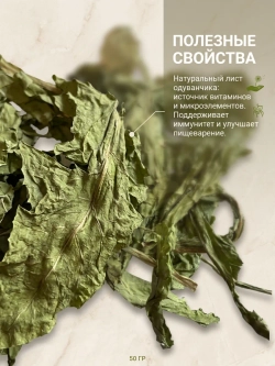 Сушеный лист одуванчика