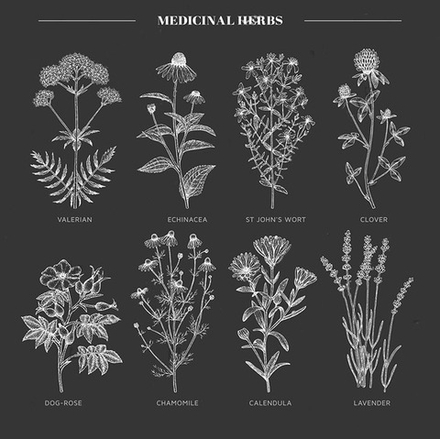 "Полевые цветы" на темном фоне, фотокартина (репродукция)