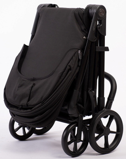 Прогулочная коляска Peppy Amici с автокреслом First Black Black рама Black