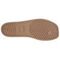 Crocs Miami 'Brown'
