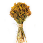 Букет сухоцветов Зверобой 35х18 см