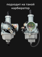 ремкомплект карбюратора PZ 26 на питбайк Ирбис ттр 125 Тайвань SEE