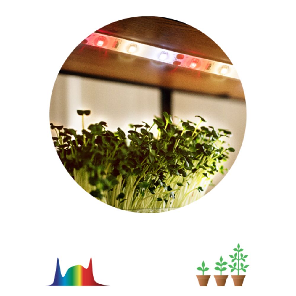 Светодиодная лента для растений ЭРА FITO-Strip Light-Rа90-3m полного спектра 3м IP65 с адаптером 12V | Светодиодные ленты для растений