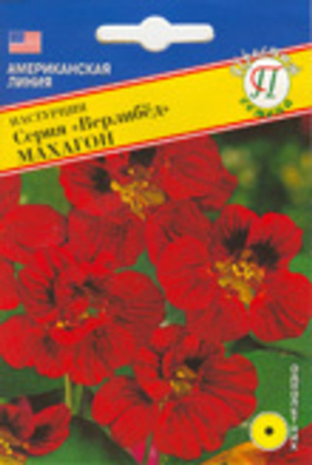 Настурция Верлибед Махагон Престиж