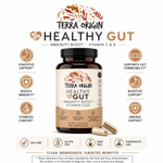 Terra Origin, Healthy Gut™, 90 капсул