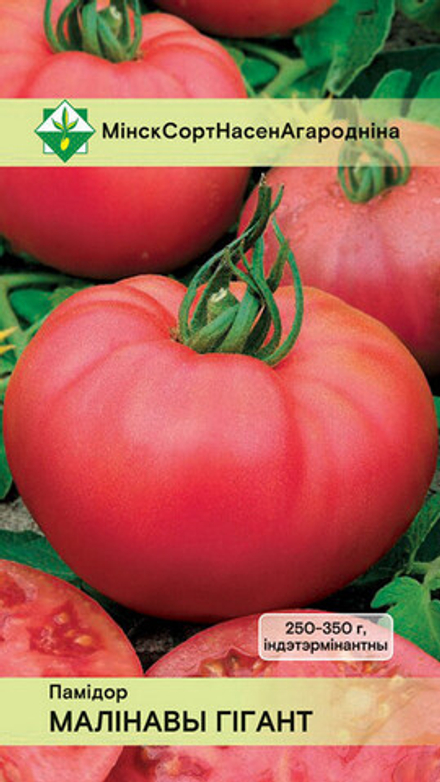 Томат "Малиновый гигант" 15шт, Россия.