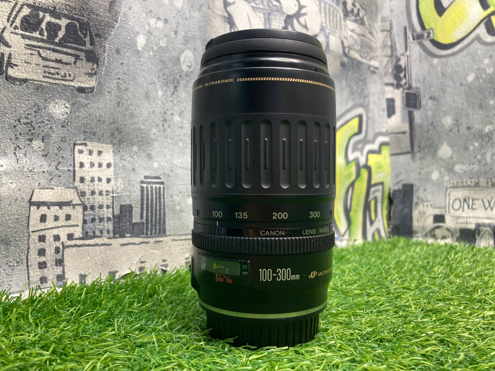 Canon EF 100-300mm 4.5-5.6 USM