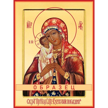 Взыскание погибших икона Божией Матери БМ-74 (бм/В/2/2)