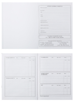 Дневник для музыкальной школы ПРОФ-ПРЕСС Черная скрипка (Д48-3858)