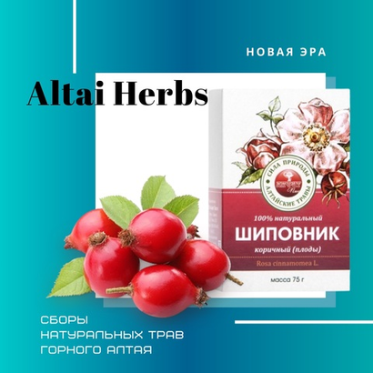 СБОРЫ ТРАВ Горного Алтая