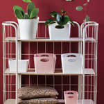 Контейнер для хранения boxxx, organic, 1 л, зеленый