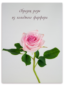 Лепесток розы Фрутетто. Набор 1