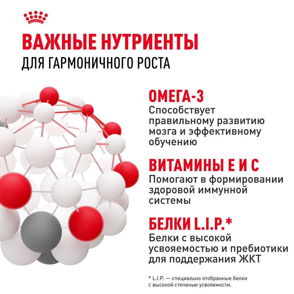 Royal Canin Mini Puppy Корм сухой для щенков мелких пород в возрасте до 10 месяцев - 0,8 кг