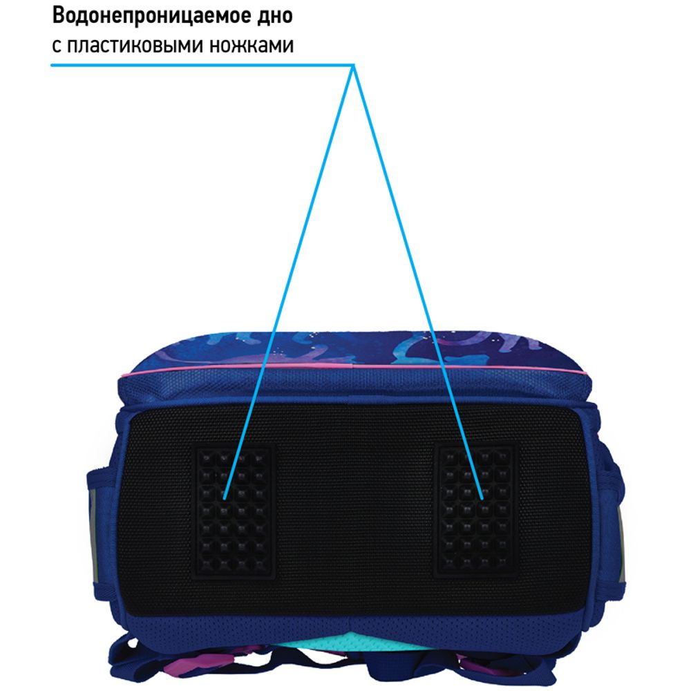 Ранец Berlingo Expert Galactic cats 37х28х6см, 2 отд., с анатомической спинкой