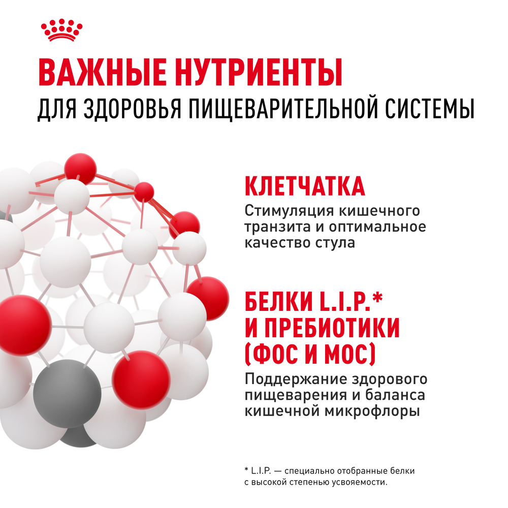 Royal Canin Mini Digestive Care Корм сухой для взрослых собак мелких размеров с чувствительным пищеварением - 3 кг