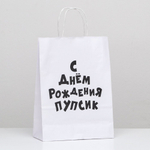 Пакет подарочный С днем рождения пупсик 24х10х30 см