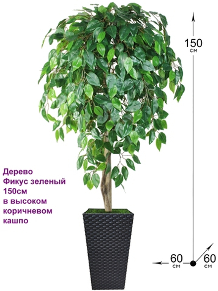Искусственное дерево Фикус зеленый 150см в высоком коричневом кашпо ротанг