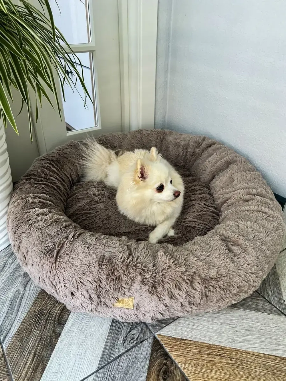 Лежанка для кошек лежак для собак домик