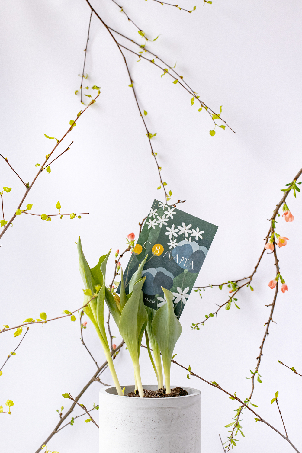 Первоцветы в бетонном кашпо с открыткой