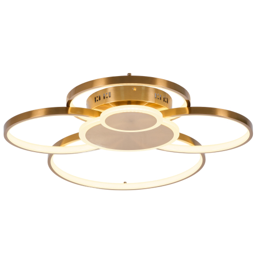 Потолочная люстра светодиодная MyFar Nora MR1171-CL