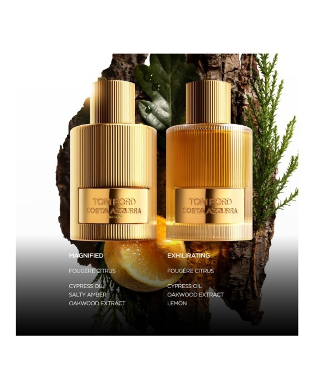 Tom Ford Costa Azzurra 100 мл парфюмерный экстракт