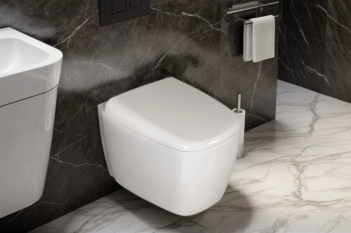 Унитаз ROMINA Aria Tornado подвесной безободковый со смывом торнадо Ceruttispa CT10613 (520х345х365)