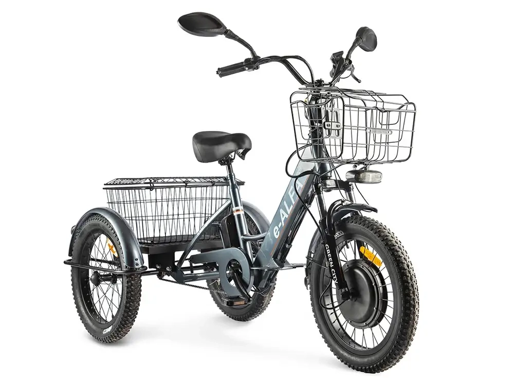 Электровелосипед GREEN CITY e-ALFA Trike (черный)
