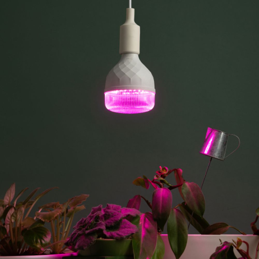 Фитолампа для растений светодиодная ЭРА GREEN LINE ФИТО-35W-PL-E27-GR красно-синего спектра 35 Вт Е27 | Фитолампы Е27