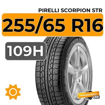 Pirelli Scorpion STR 255/65 R16 109H