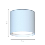 Накладной светодиодный светильник Favourite Fantum 4664-1U