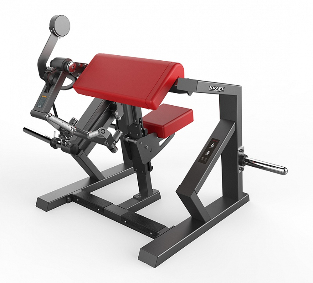 Бицепс (сгибание рук) KRAFT Fitness KFPLBC серии PL