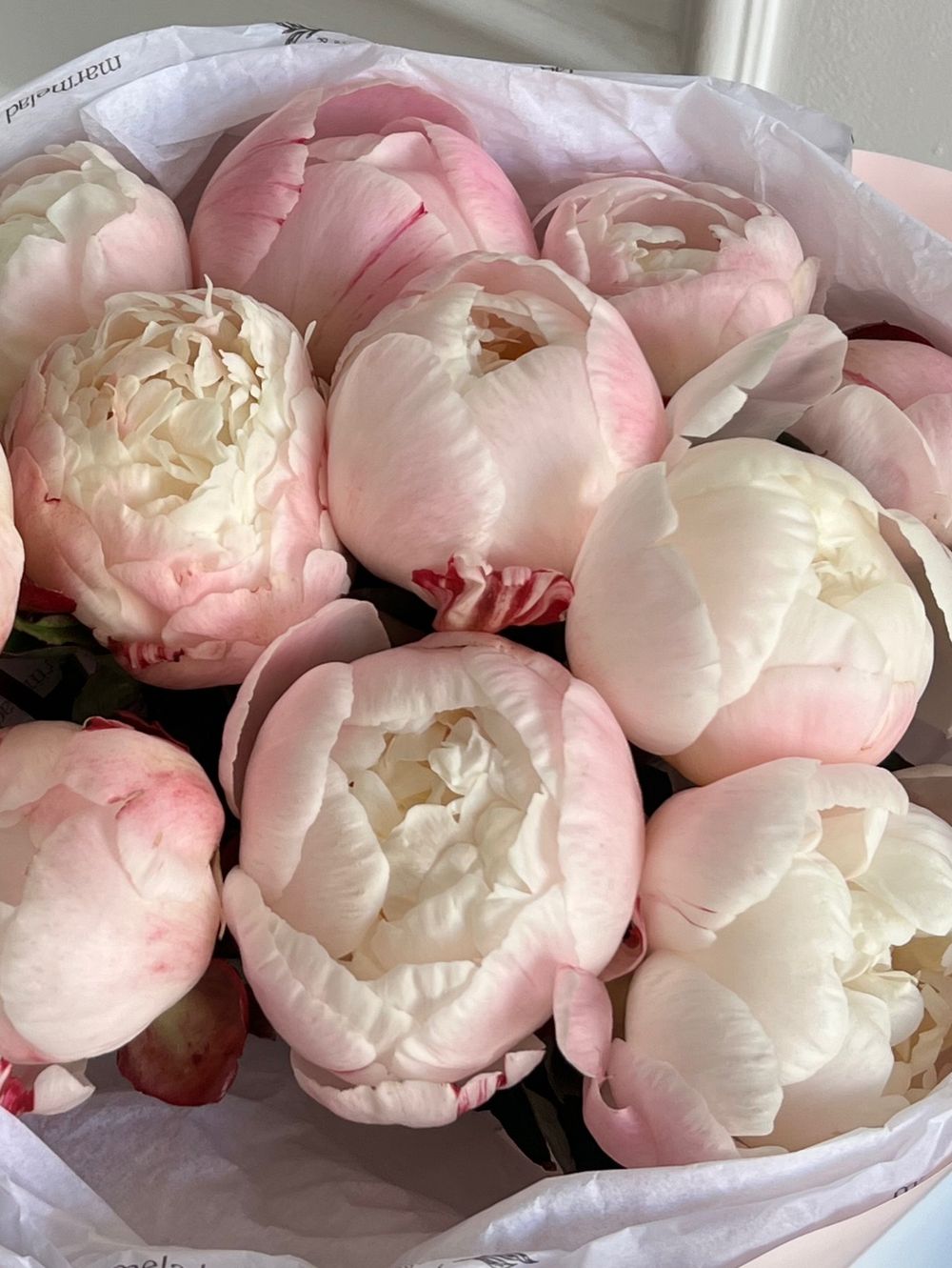 Букет из пионов в розово-белом оттенке 11 шт