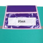 Кармашки-органайзер в шкафчик для детского сада BRAUBERG KIDS, крепление на липучке, наклейки-подсказки, 24х88 см, "Unipony", 273284