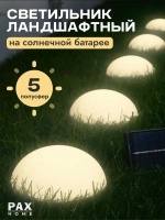 PAXON Уличный светильник, количество ламп:5шт