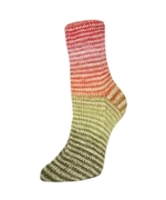 Пряжа Rellana Flotte Socke 4f. Perfect Rainbow (3123)